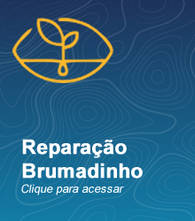 reparacao.png